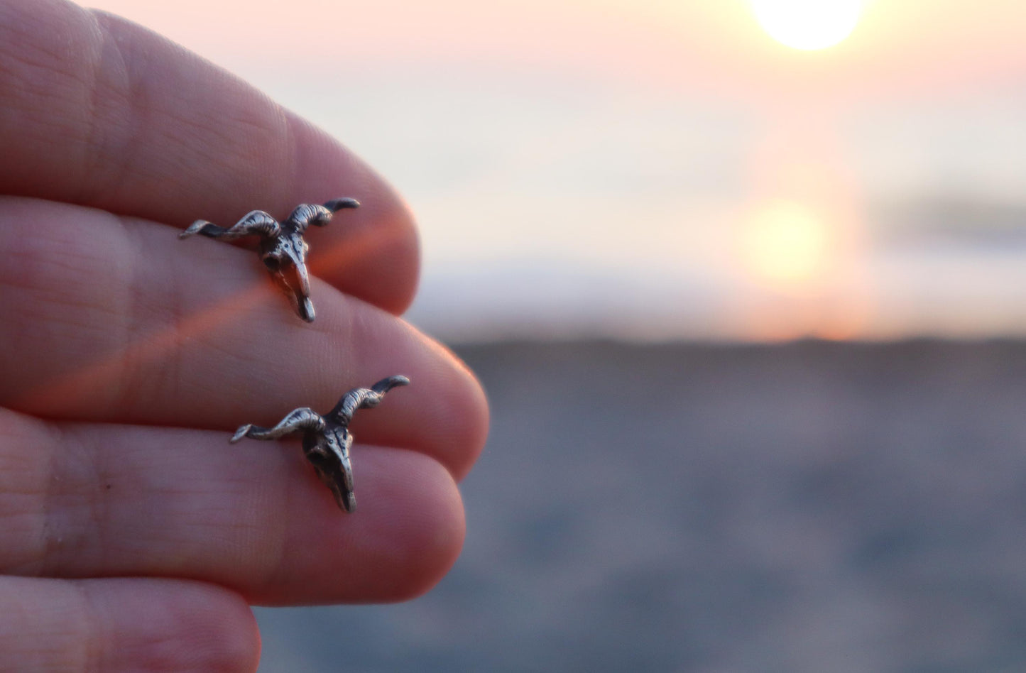 Sterling Silver Longhorn Buffalo Skull Earrings