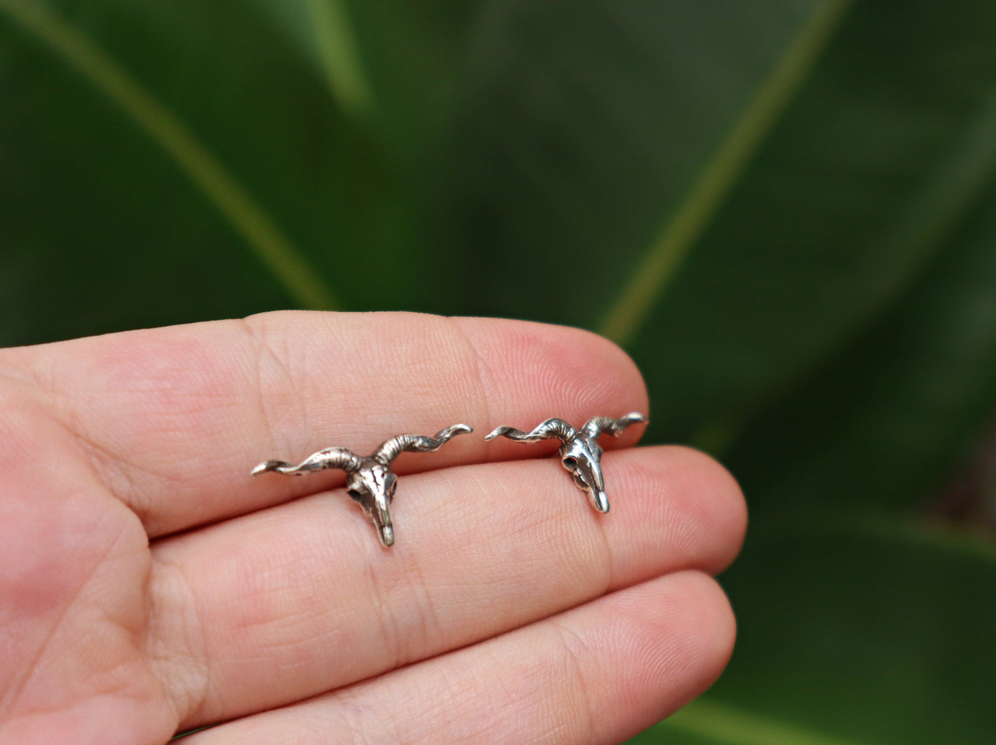 Sterling Silver Longhorn Buffalo Skull Earrings