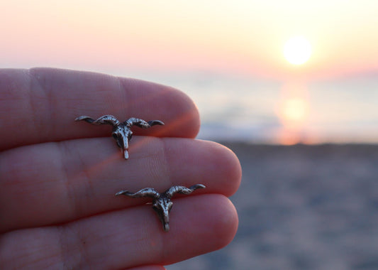 Sterling Silver Longhorn Buffalo Skull Earrings