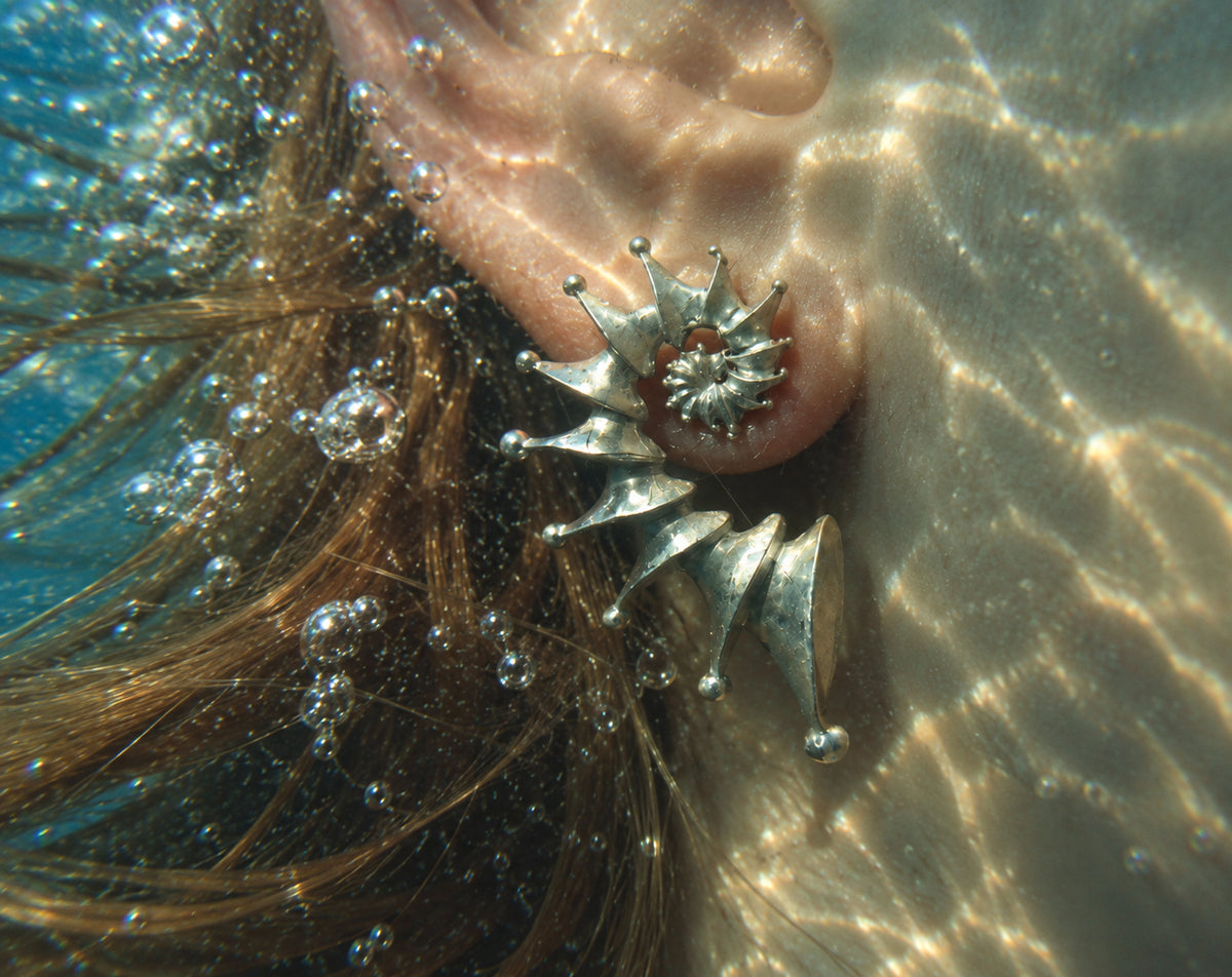 Spiral Seashell Earrings – Sterling Silver