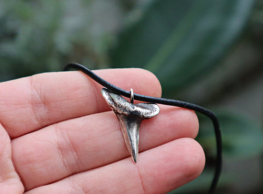 Sterling Silver Shark Tooth Surfer Necklace