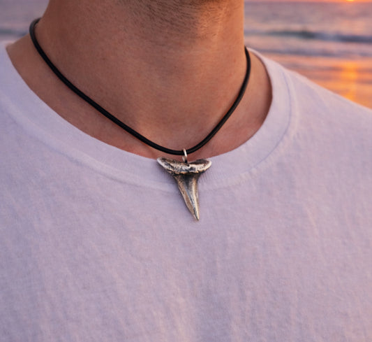 Shark Tooth & Talon Necklace – Sterling Silver